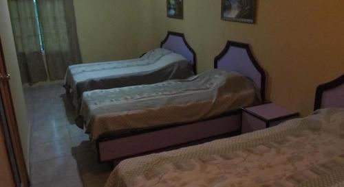 Backpacker Hotel
